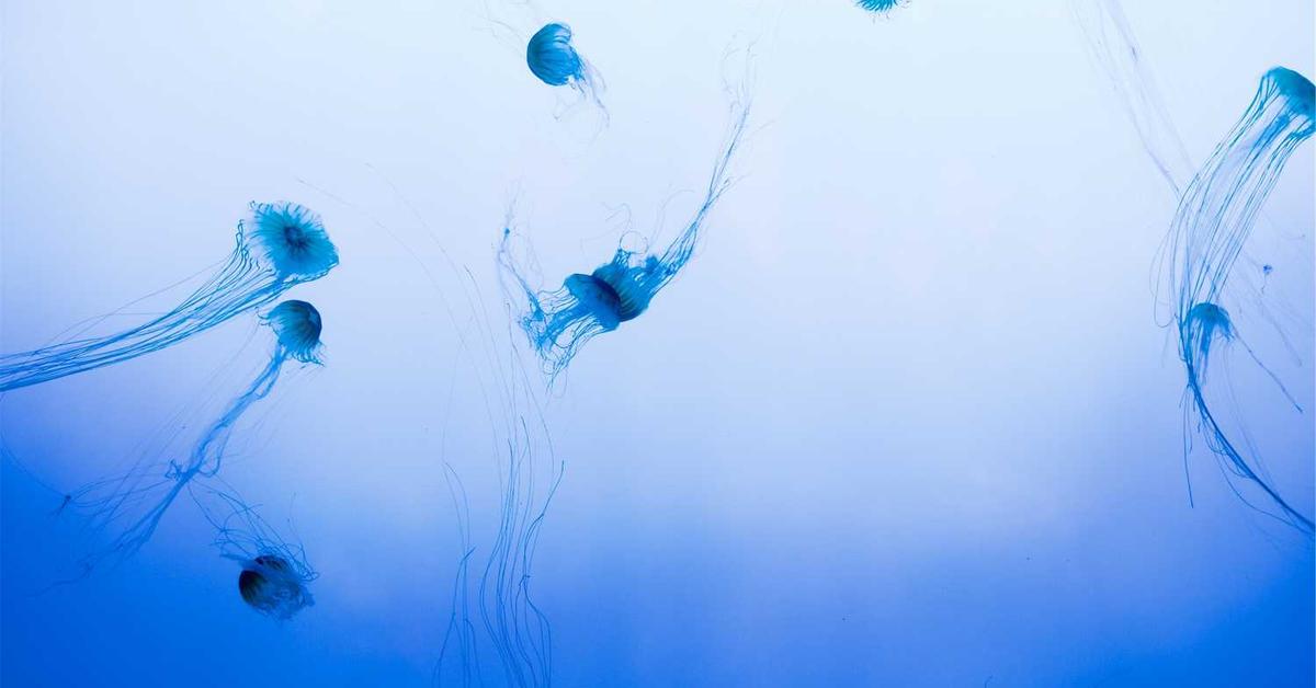 Seamless tertiary application