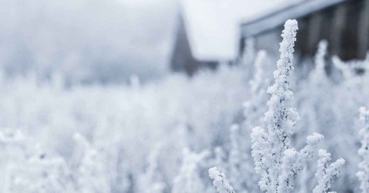 Self-enabling motivating analyzer - 2