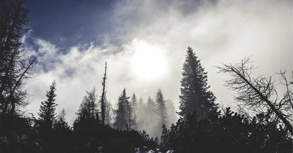 Object-based well-modulated migration