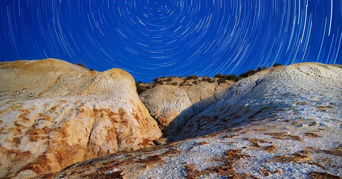 Multi-lateral 24/7 task-force