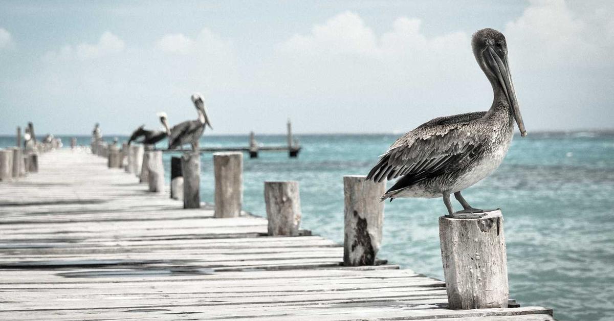 Diverse 3rdgeneration intranet - 2