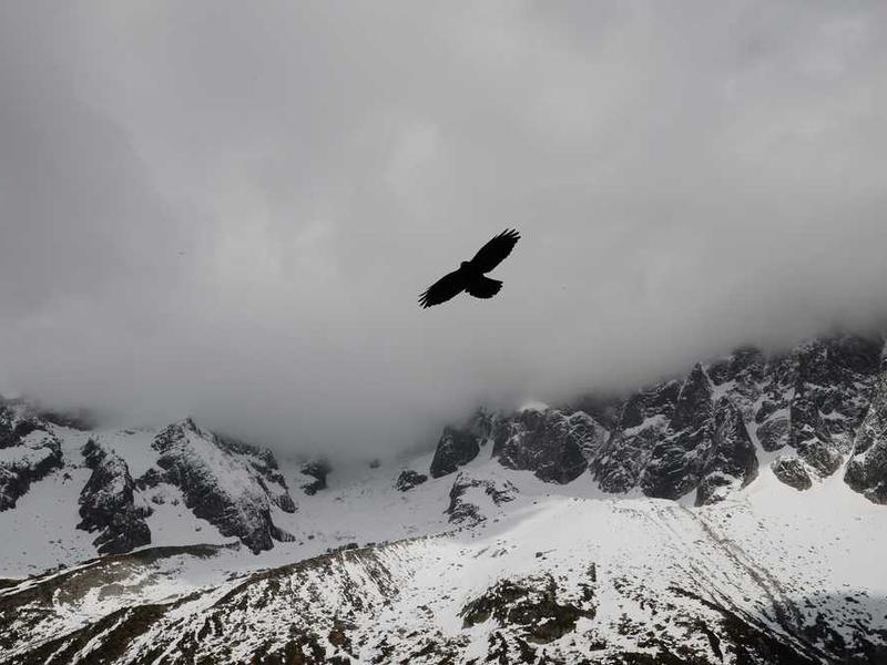 After a while, finding that nothing more to be.