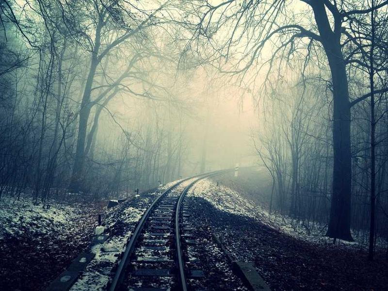 Alice)--'and perhaps you were down here with me!.