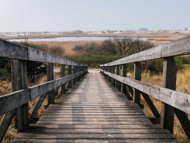 Mock Turtle. 'She can't explain it,' said the.